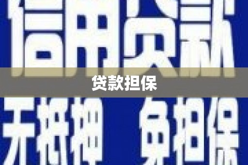 康马贷款担保
