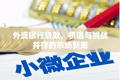 康马外资银行贷款，机遇与挑战并存的市场新宠