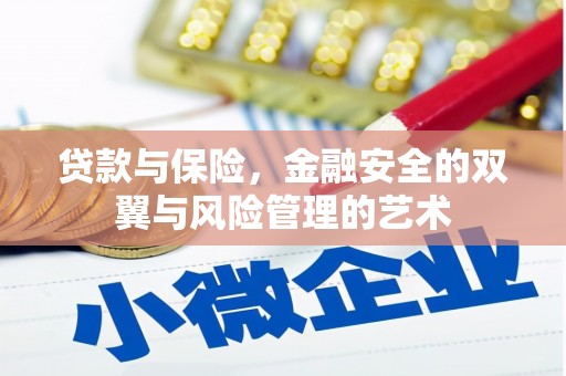 康马贷款与保险，金融安全的双翼与风险管理的艺术
