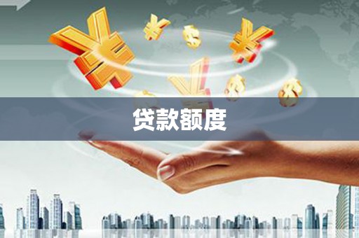 康马贷款额度