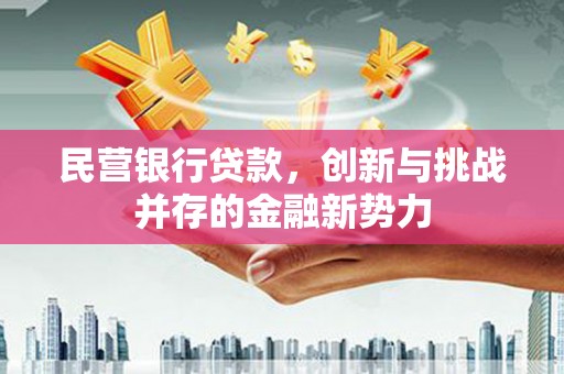 康马民营银行贷款，创新与挑战并存的金融新势力