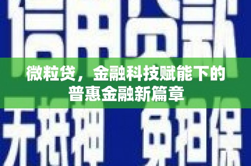 康马微粒贷，金融科技赋能下的普惠金融新篇章
