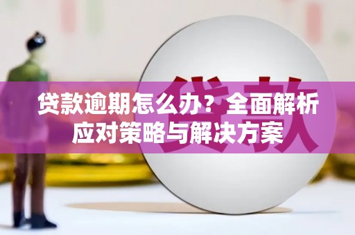康马贷款逾期怎么办？全面解析应对策略与解决方案
