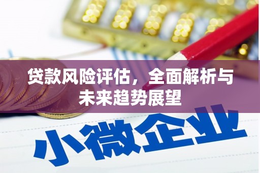 康马贷款风险评估，全面解析与未来趋势展望
