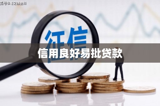 康马信用良好易批贷款