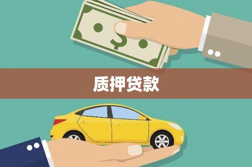 康马质押贷款