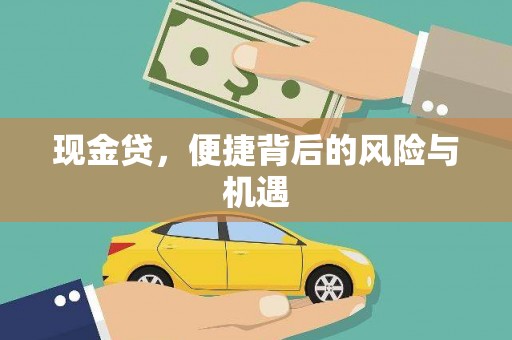 康马现金贷，便捷背后的风险与机遇