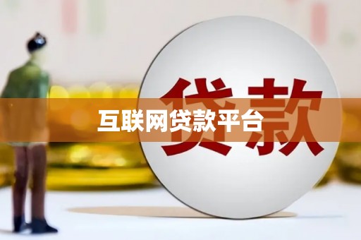 康马互联网贷款平台