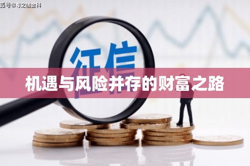 康马机遇与风险并存的财富之路