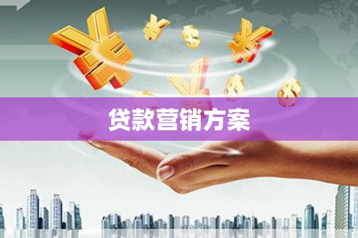 康马贷款营销方案