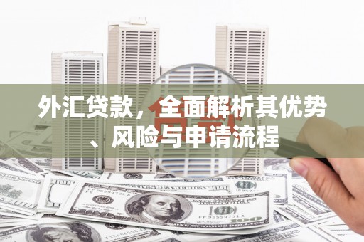 康马外汇贷款，全面解析其优势、风险与申请流程