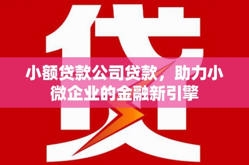 康马小额贷款公司贷款，助力小微企业的金融新引擎