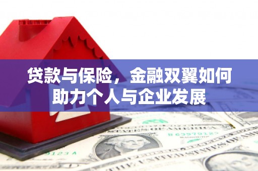 康马贷款与保险，金融双翼如何助力个人与企业发展
