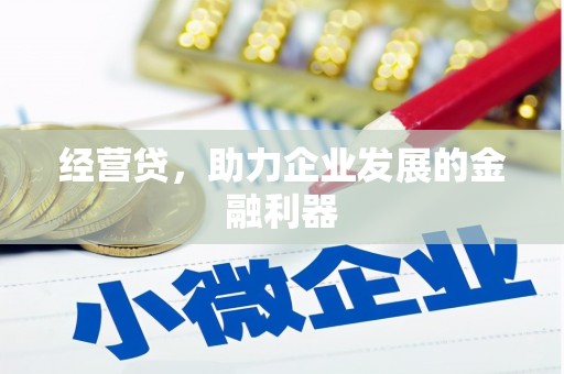康马经营贷，助力企业发展的金融利器