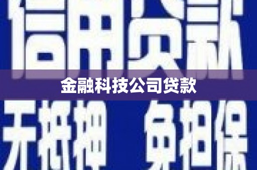 康马金融科技公司贷款