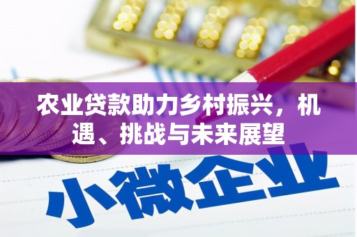 康马农业贷款助力乡村振兴，机遇、挑战与未来展望