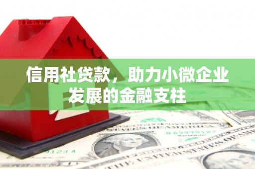 康马信用社贷款，助力小微企业发展的金融支柱