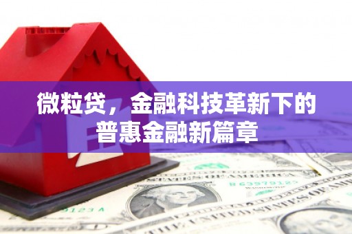 康马微粒贷，金融科技革新下的普惠金融新篇章