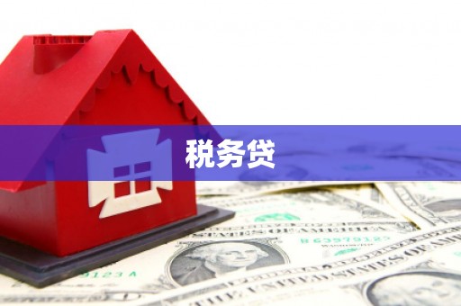 康马税务贷