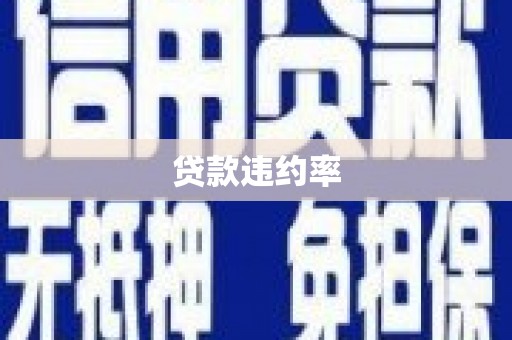 康马贷款违约率