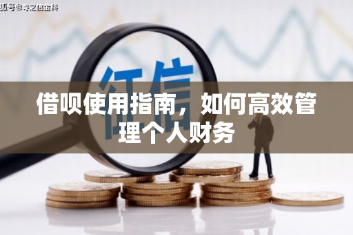 康马借呗使用指南，如何高效管理个人财务