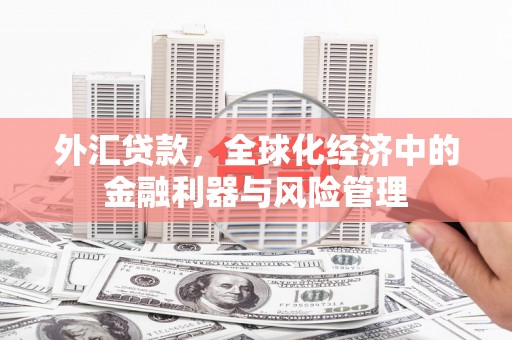 康马外汇贷款，全球化经济中的金融利器与风险管理
