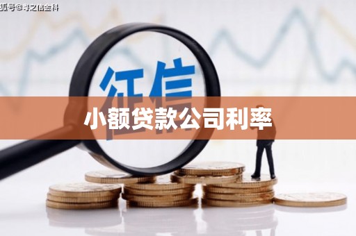康马小额贷款公司利率