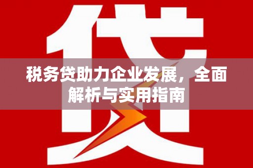 康马税务贷助力企业发展，全面解析与实用指南
