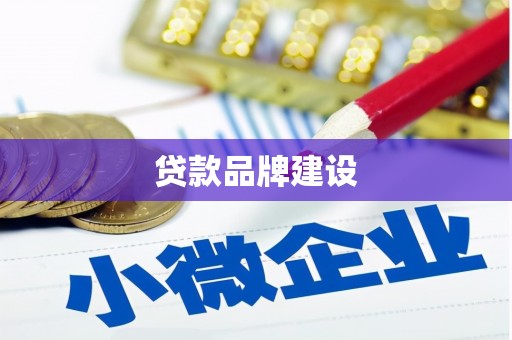 康马贷款品牌建设