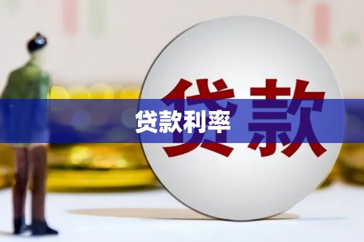 康马贷款利率