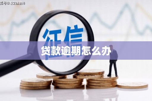 康马贷款逾期怎么办