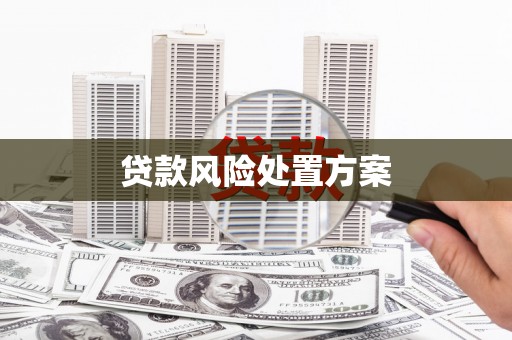 康马贷款风险处置方案