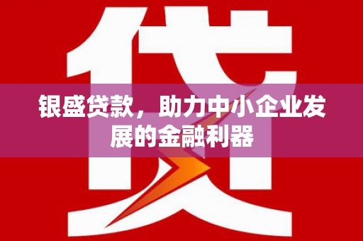 康马银盛贷款，助力中小企业发展的金融利器
