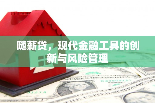 康马随薪贷，现代金融工具的创新与风险管理