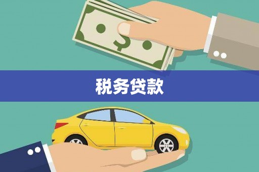 康马税务贷款