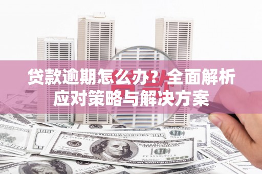 康马贷款逾期怎么办？全面解析应对策略与解决方案