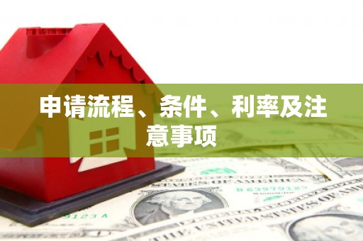 康马申请流程、条件、利率及注意事项