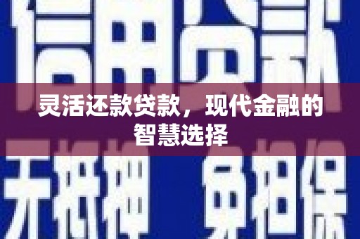 康马灵活还款贷款，现代金融的智慧选择