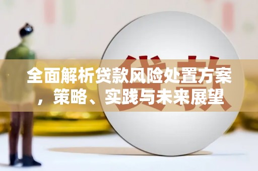 康马全面解析贷款风险处置方案，策略、实践与未来展望