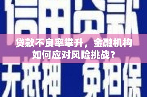 康马贷款不良率攀升，金融机构如何应对风险挑战？