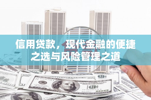 康马信用贷款，现代金融的便捷之选与风险管理之道