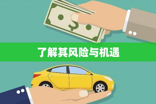 康马了解其风险与机遇