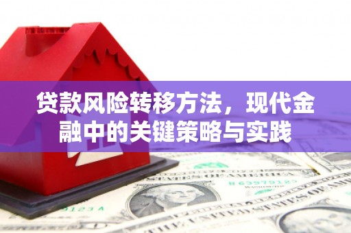 康马贷款风险转移方法，现代金融中的关键策略与实践