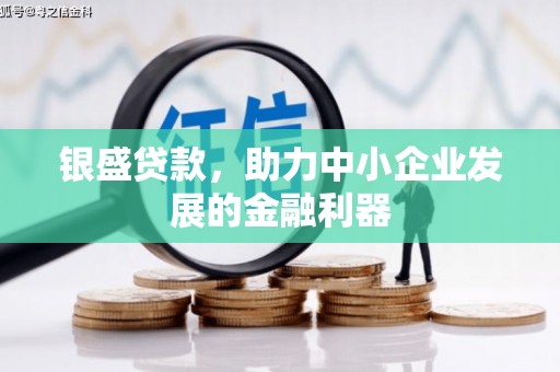 康马银盛贷款，助力中小企业发展的金融利器