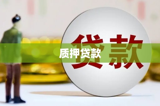 康马质押贷款