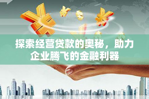 康马探索经营贷款的奥秘，助力企业腾飞的金融利器