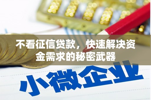 康马不看征信贷款，快速解决资金需求的秘密武器