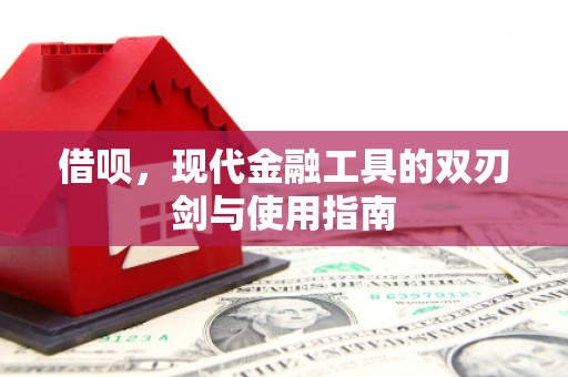 康马借呗，现代金融工具的双刃剑与使用指南