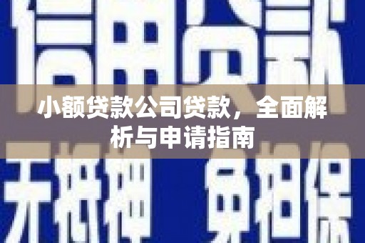 康马小额贷款公司贷款，全面解析与申请指南