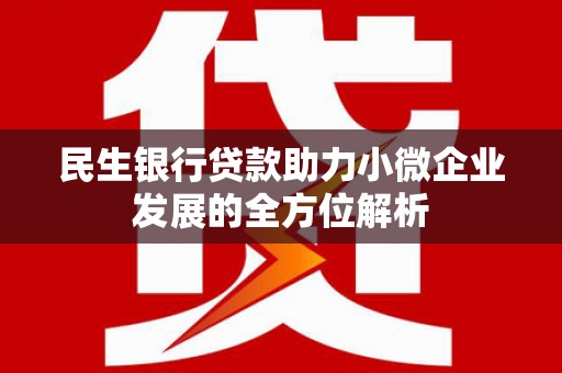 康马民生银行贷款助力小微企业发展的全方位解析